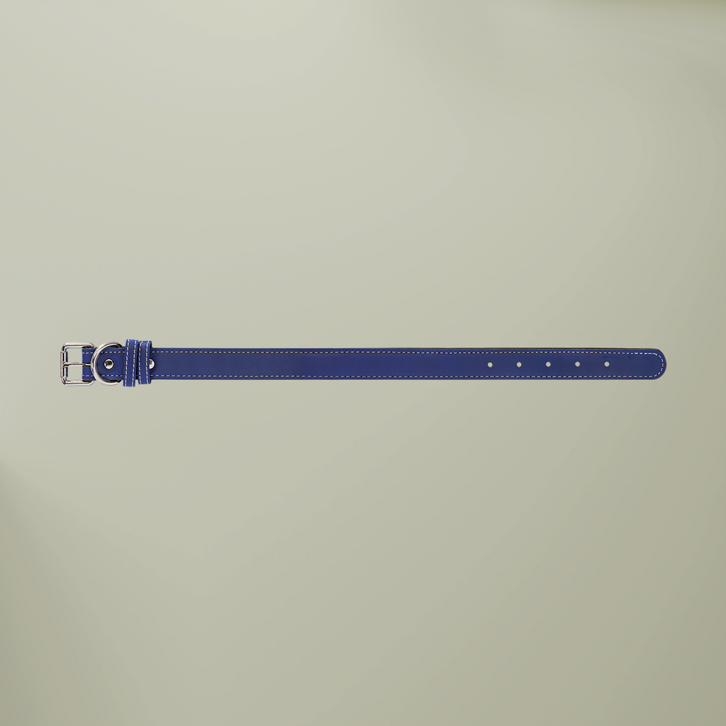 WHISKER & WAG Leather Pet Collar | Engraved Nameplate