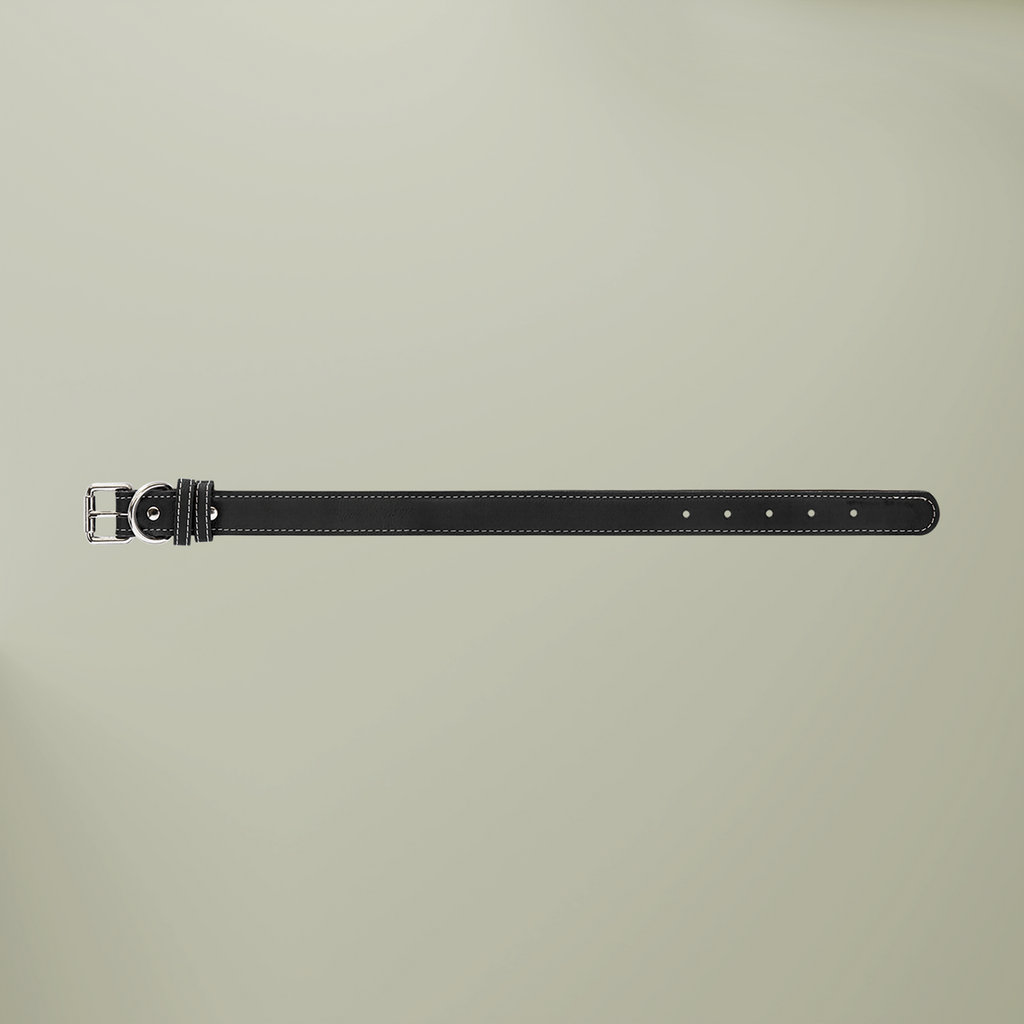 WHISKER & WAG Leather Pet Collar | Engraved Nameplate