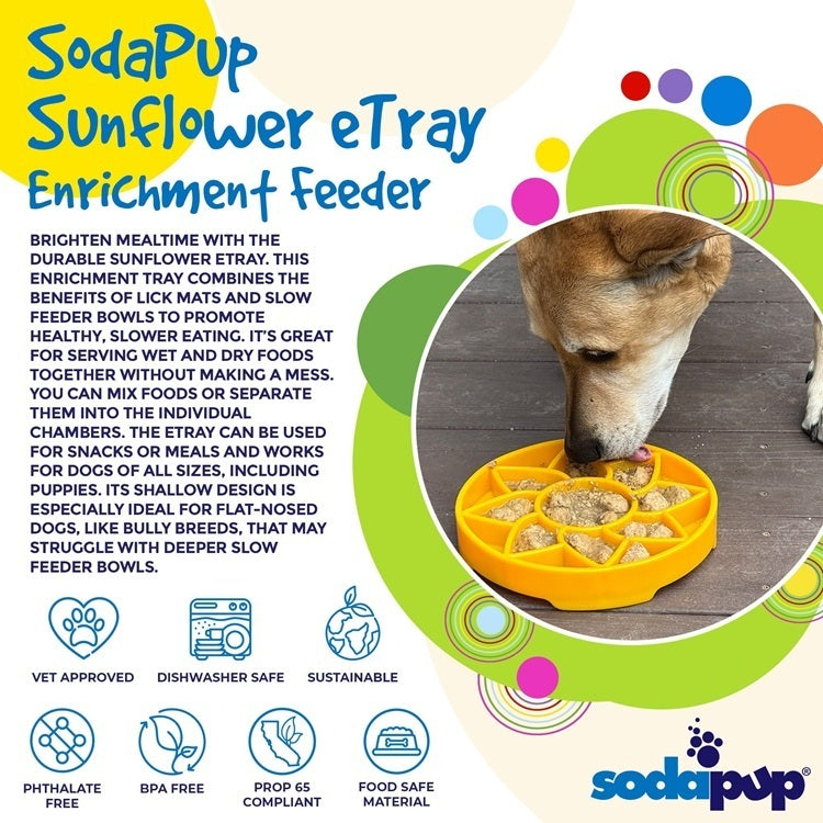 SodaPup Sunflower Shallow Slow Feeder Dog Bowl