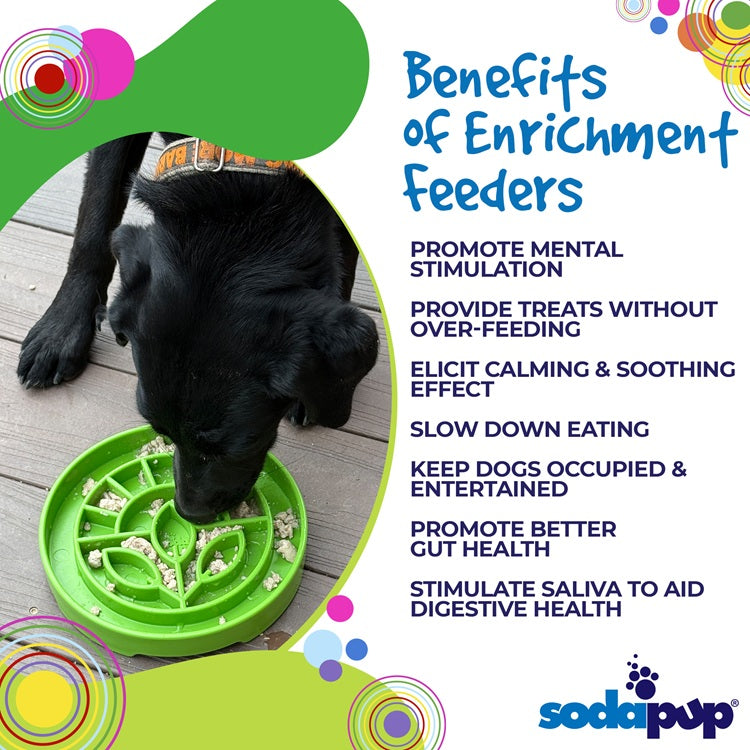SodaPup Garden Shallow Slow Feeder Dog Bowl