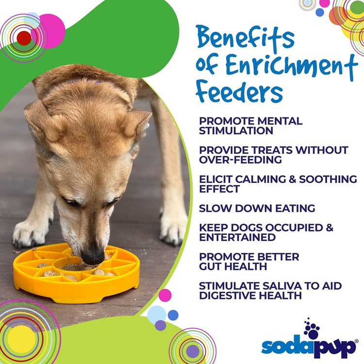 SodaPup Sunflower Shallow Slow Feeder Dog Bowl