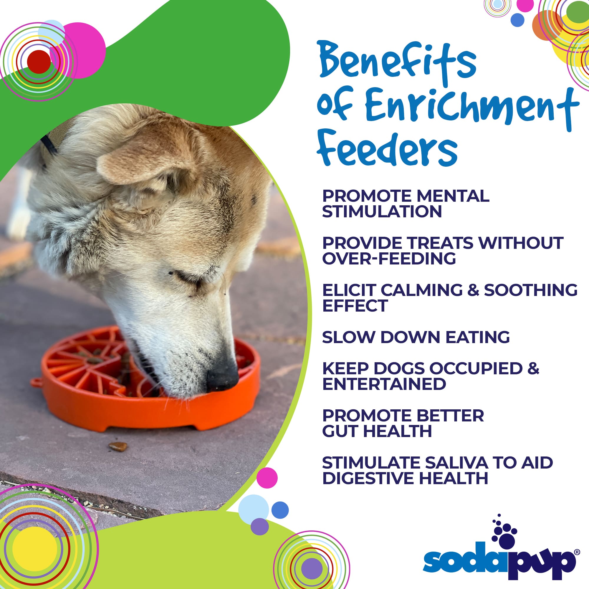 SodaPup Sun and Moon Shallow Slow Feeder Dog Bowl