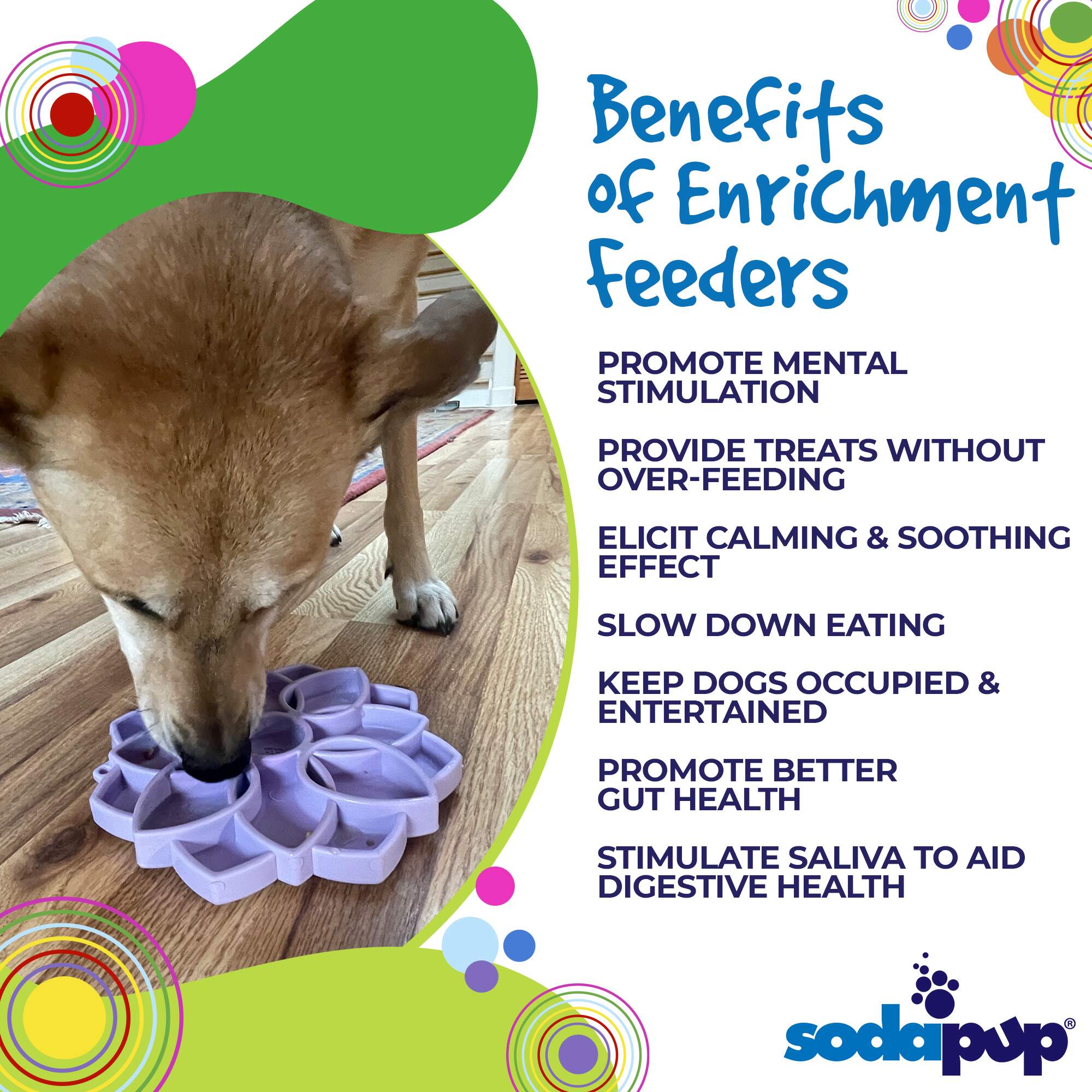 SodaPup Mandala Shallow Slow Feeder Dog Bowl