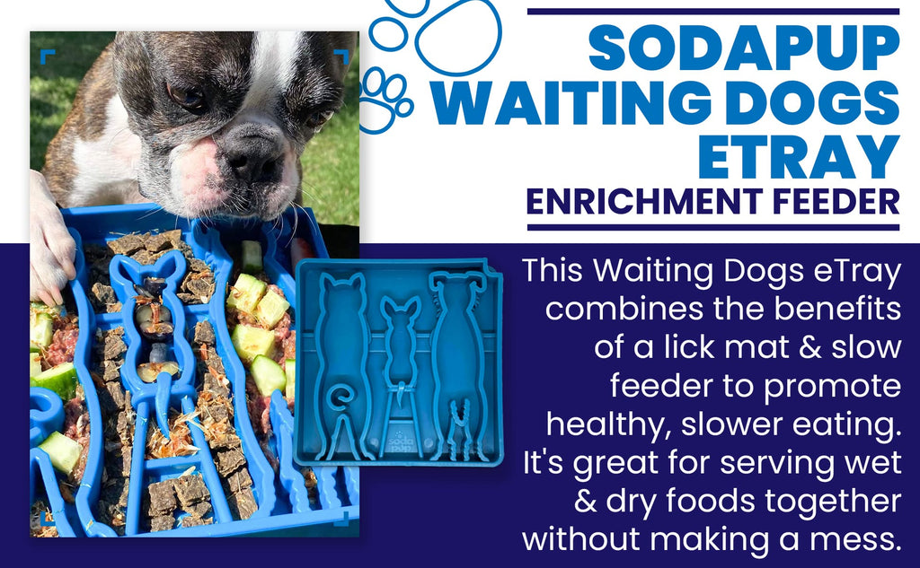 SodaPup Waiting Dogs Shallow Slow Feeder Bowl