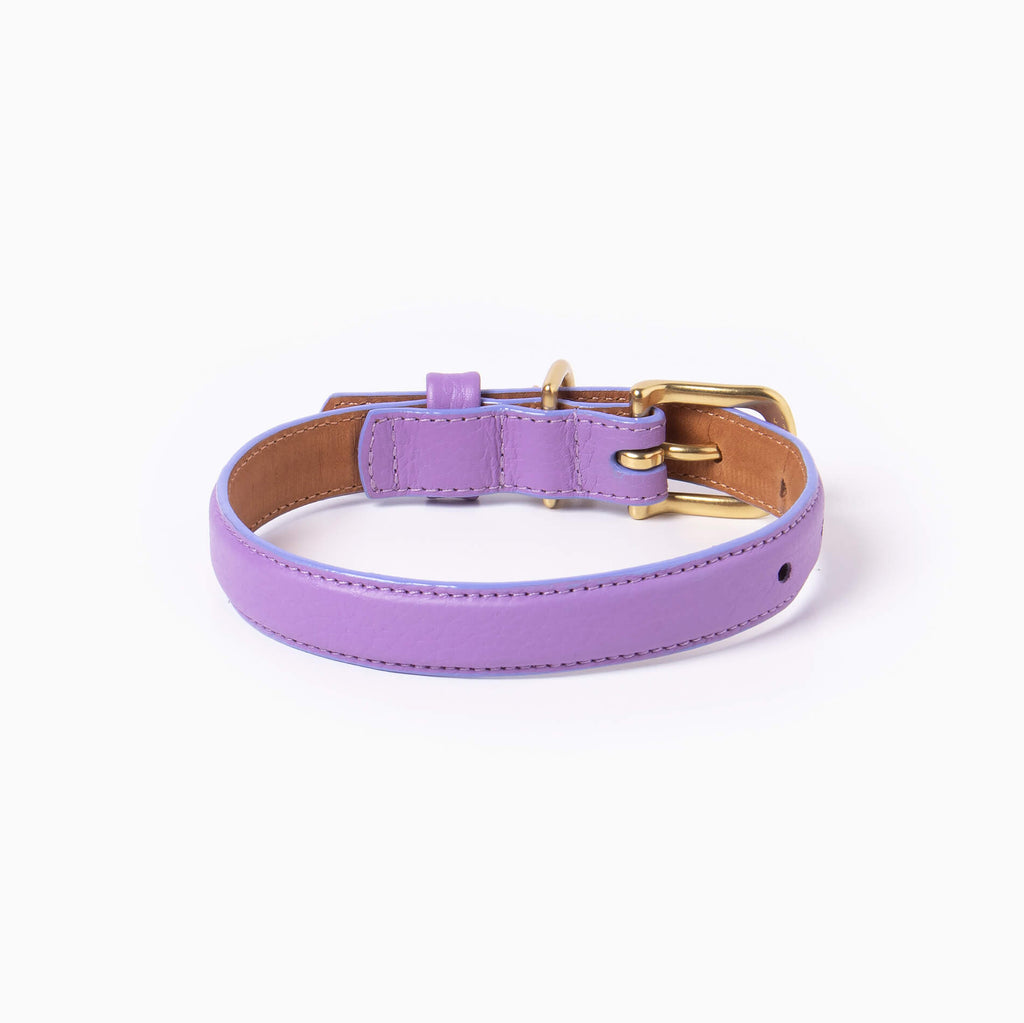 Fairy Collar