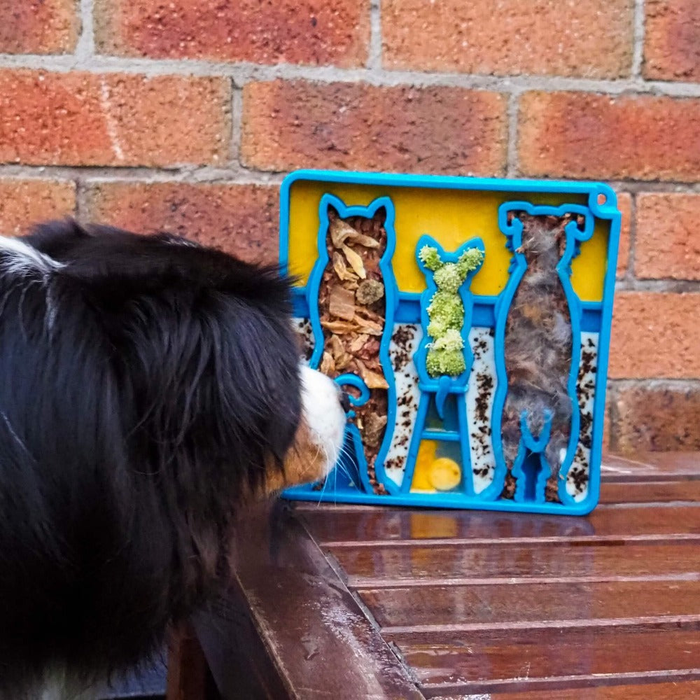 SodaPup Waiting Dogs Shallow Slow Feeder Bowl