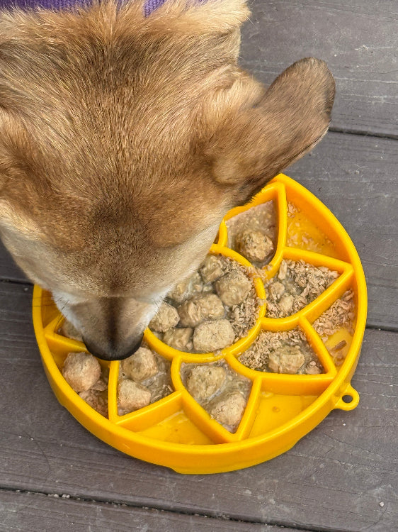 SodaPup Sunflower Shallow Slow Feeder Dog Bowl