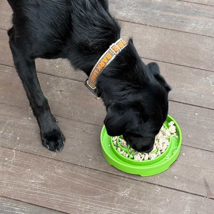 SodaPup Garden Shallow Slow Feeder Dog Bowl