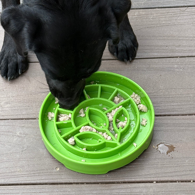 SodaPup Garden Shallow Slow Feeder Dog Bowl