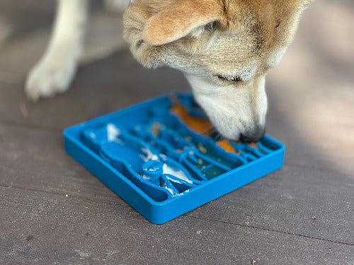 SodaPup Waiting Dogs Shallow Slow Feeder Bowl