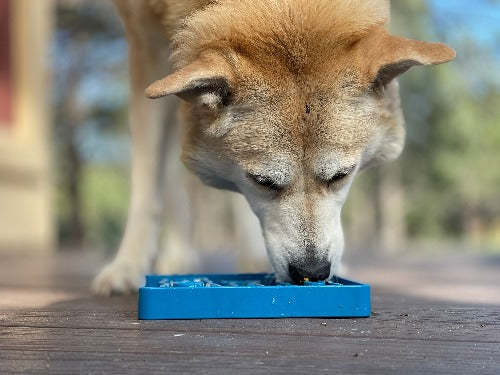 SodaPup Waiting Dogs Shallow Slow Feeder Bowl