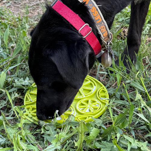 SodaPup Citrus Lick Mat For Dogs and Cats