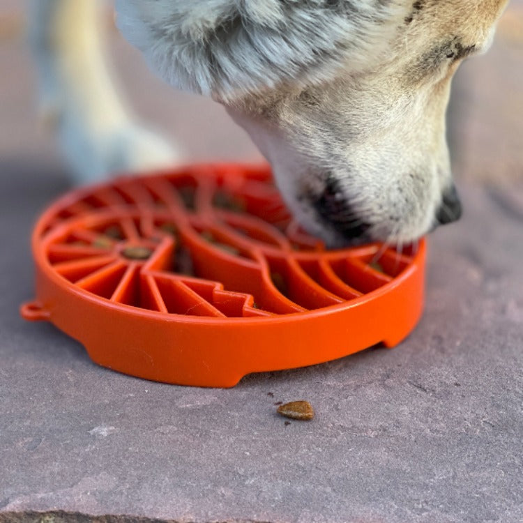 SodaPup Sun and Moon Shallow Slow Feeder Dog Bowl
