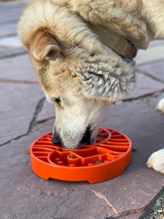 SodaPup Sun and Moon Shallow Slow Feeder Dog Bowl
