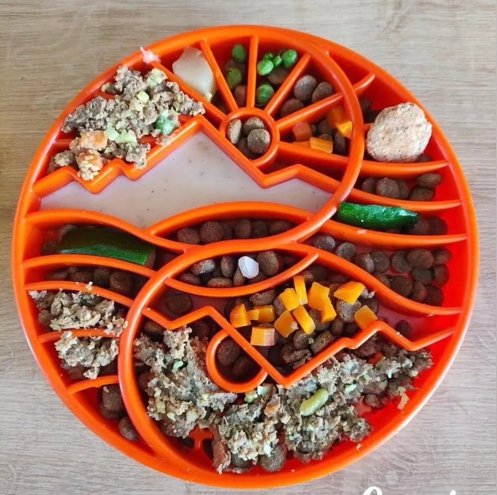 SodaPup Sun and Moon Shallow Slow Feeder Dog Bowl