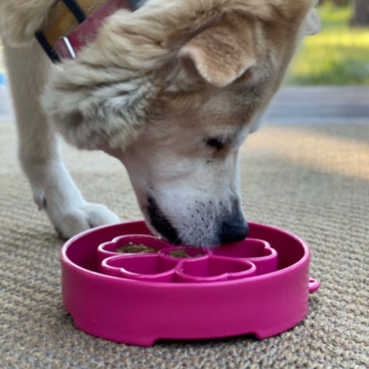 SodaPup Flower Deep Slow Feeder Dog Bowl