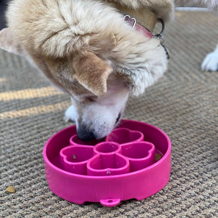 SodaPup Flower Deep Slow Feeder Dog Bowl