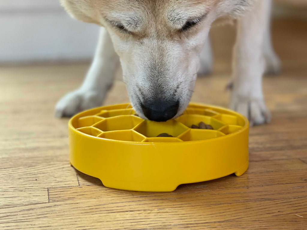 SodaPup Honeycomb Deep Slow Feeder Dog Bowl