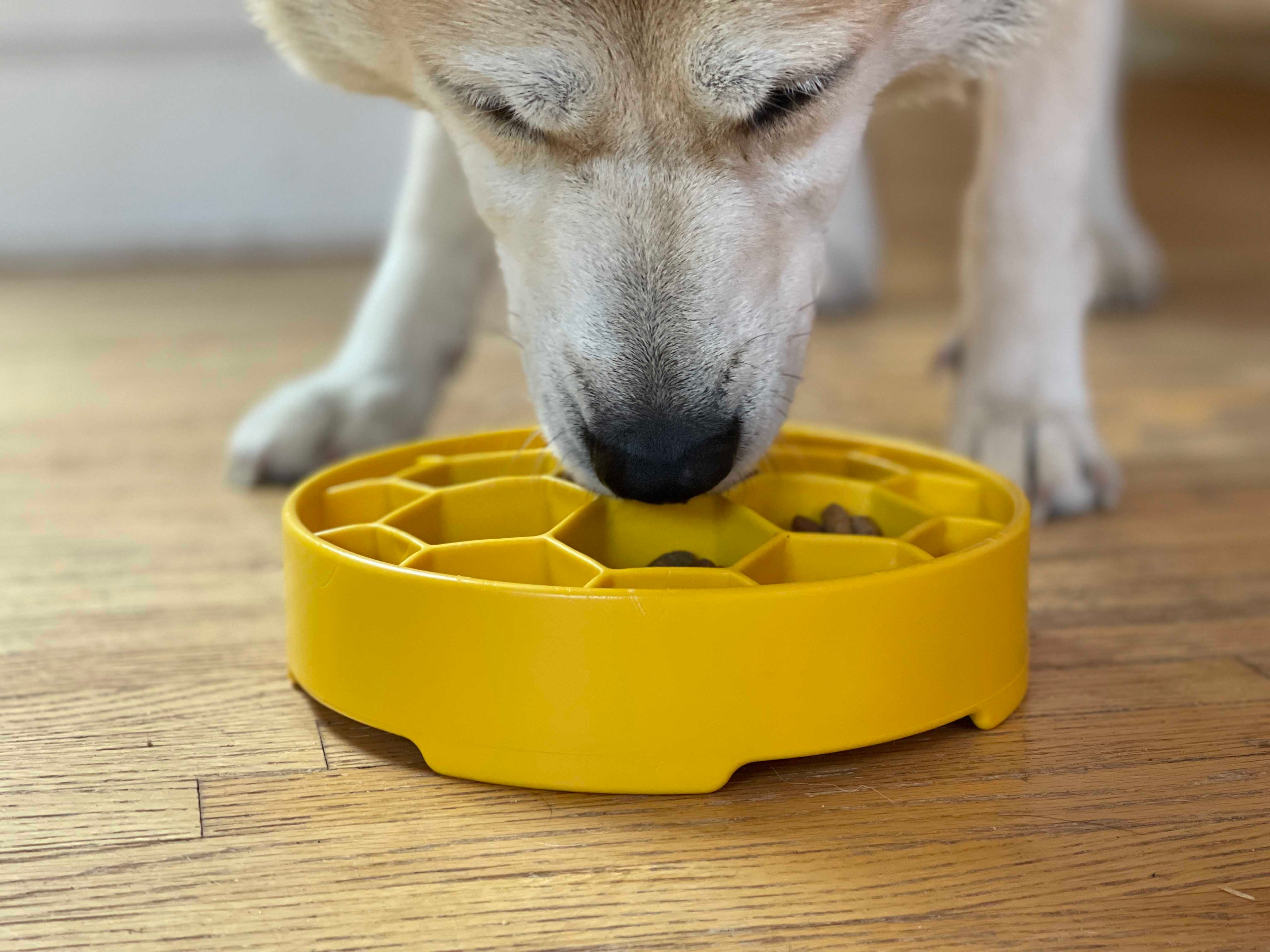 SodaPup Honeycomb Deep Slow Feeder Dog Bowl