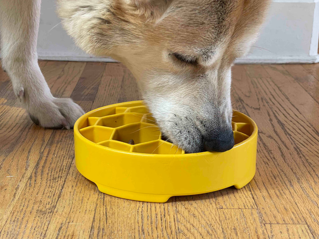 SodaPup Honeycomb Deep Slow Feeder Dog Bowl