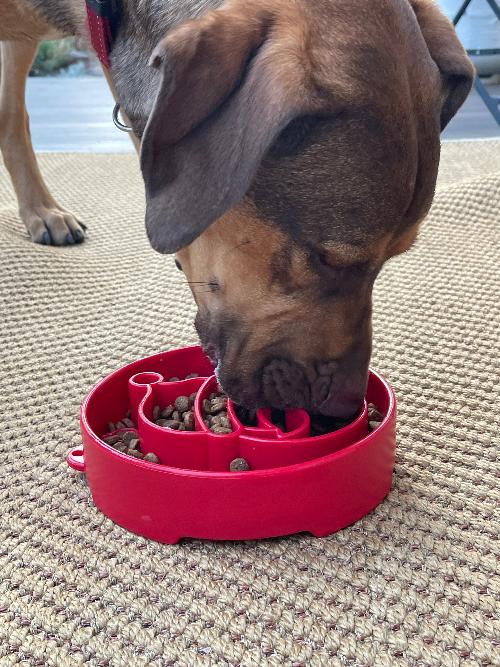 SodaPup Santa Deep Slow Feeder Dog Bowl