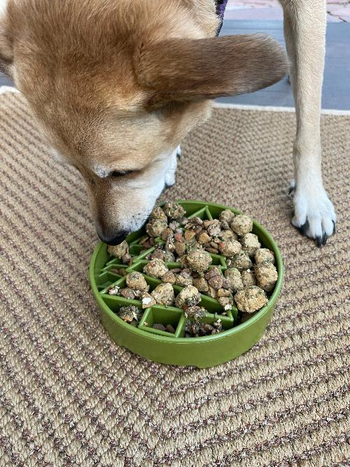 SodaPup Pine Tree Deep Slow Feeder Dog Bowl