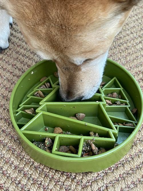 SodaPup Pine Tree Deep Slow Feeder Dog Bowl