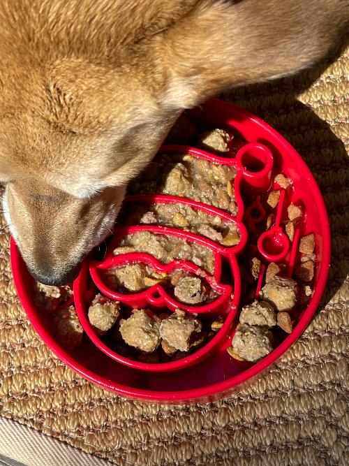 SodaPup Santa Deep Slow Feeder Dog Bowl