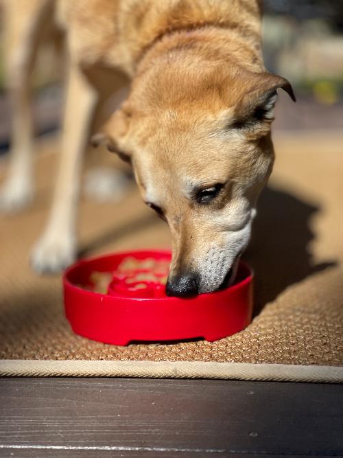 SodaPup Santa Deep Slow Feeder Dog Bowl