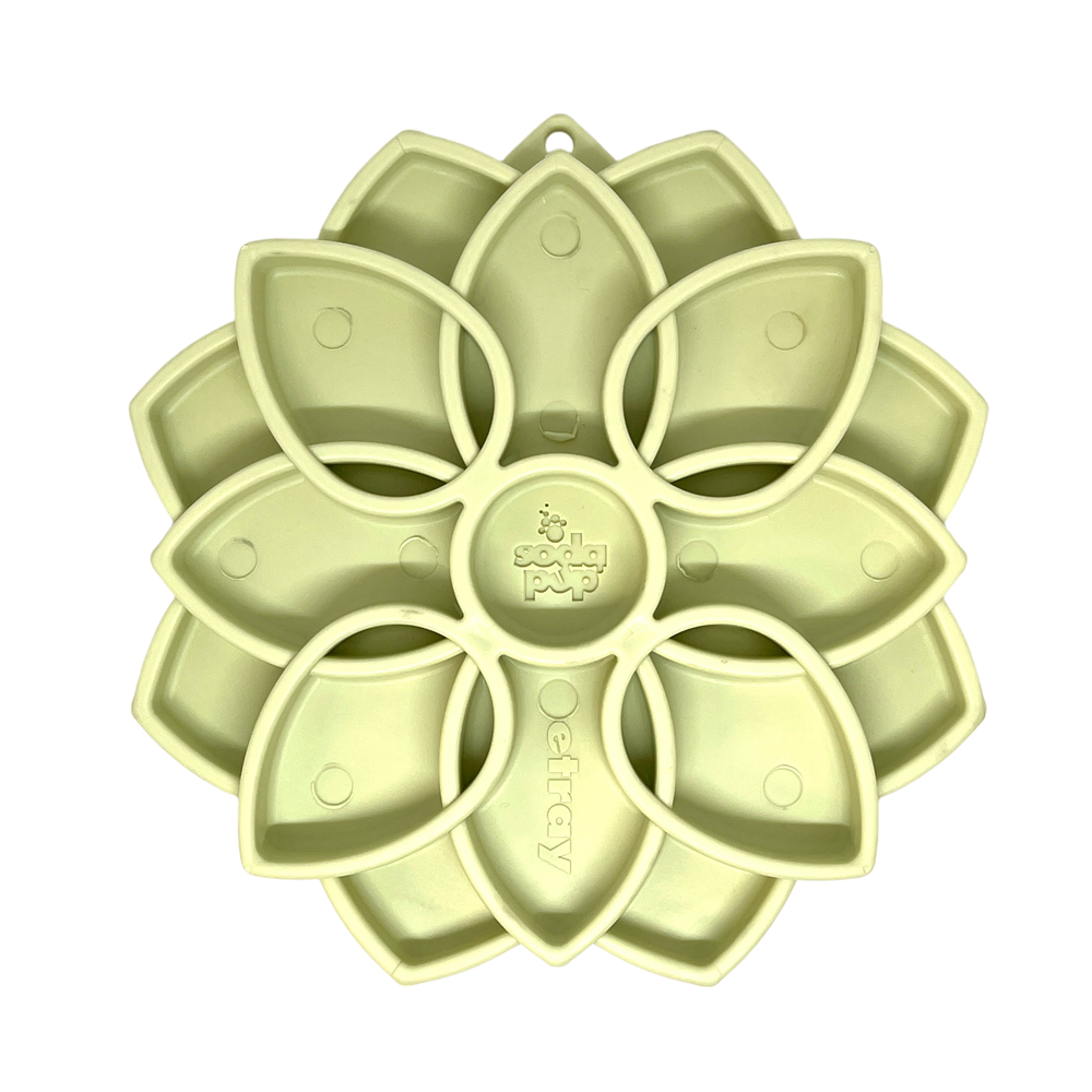 SodaPup Mandala Shallow Slow Feeder Dog Bowl