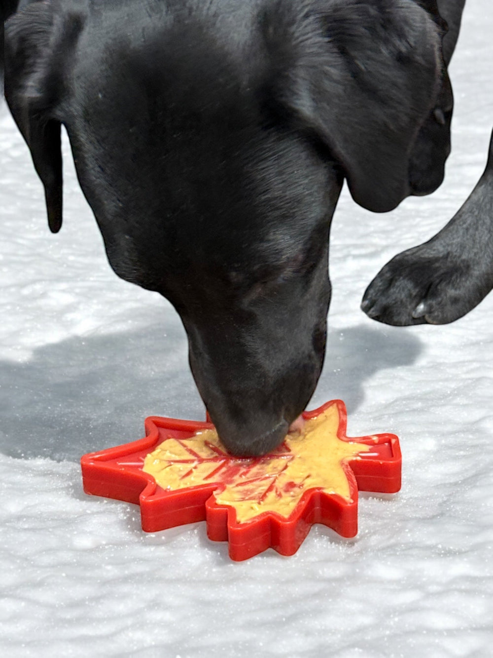SodaPup Canadian Maple Leaf Lick Mat