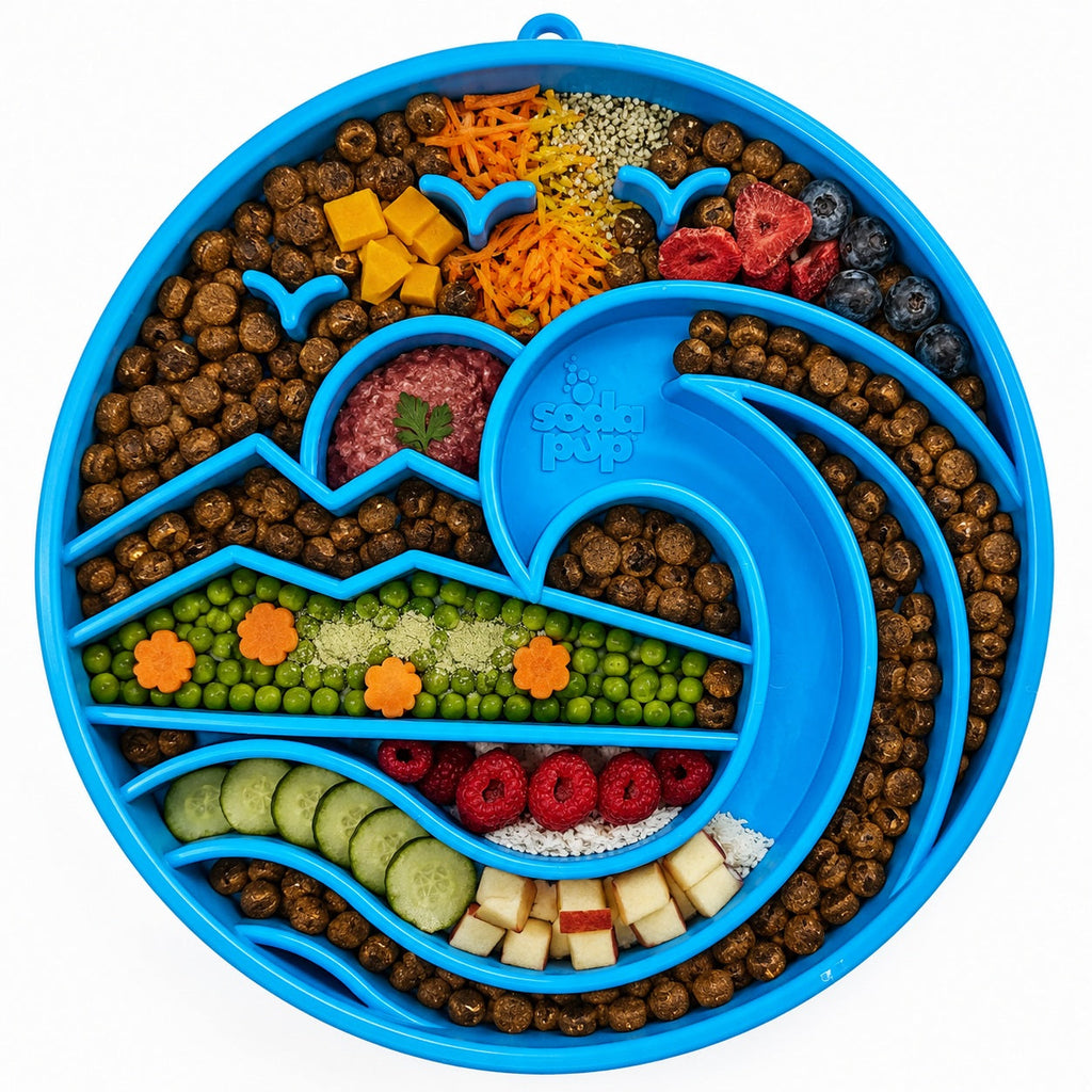 SodaPup Baja Design Shallow Slow Feeder Dog Bowl