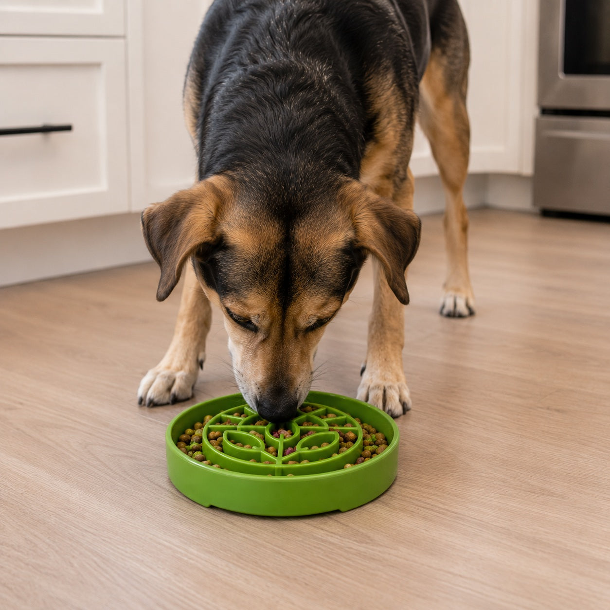 SodaPup Garden Shallow Slow Feeder Dog Bowl