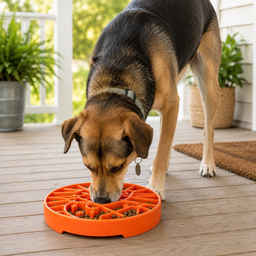 SodaPup Sun and Moon Shallow Slow Feeder Dog Bowl
