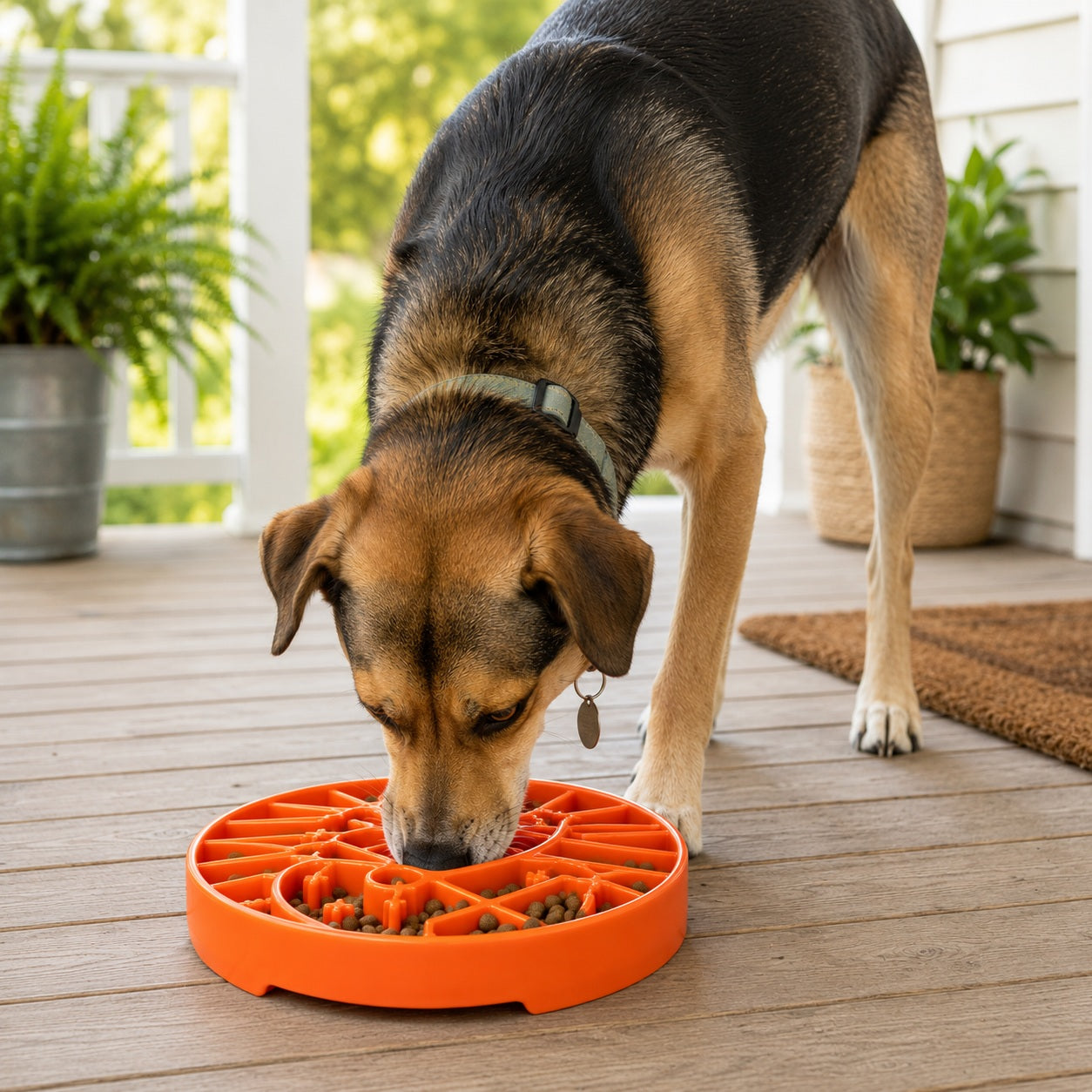 SodaPup Sun and Moon Shallow Slow Feeder Dog Bowl