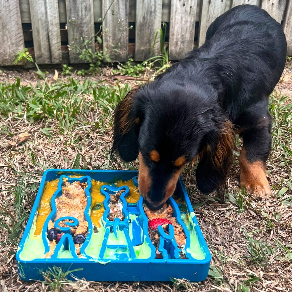 SodaPup Waiting Dogs Shallow Slow Feeder Bowl