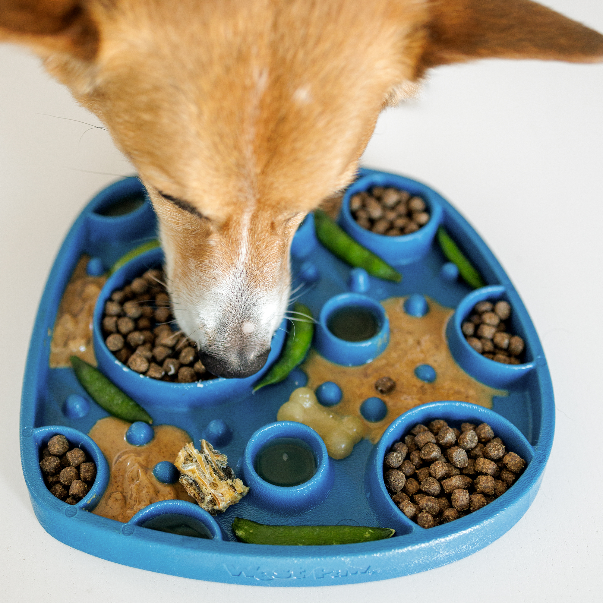 WestPaw Bubbles Feast Mat