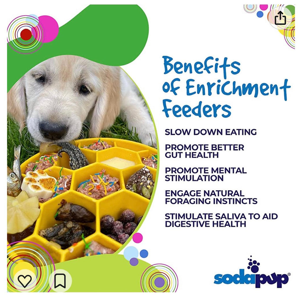 SodaPup Honeycomb Deep Slow Feeder Dog Bowl