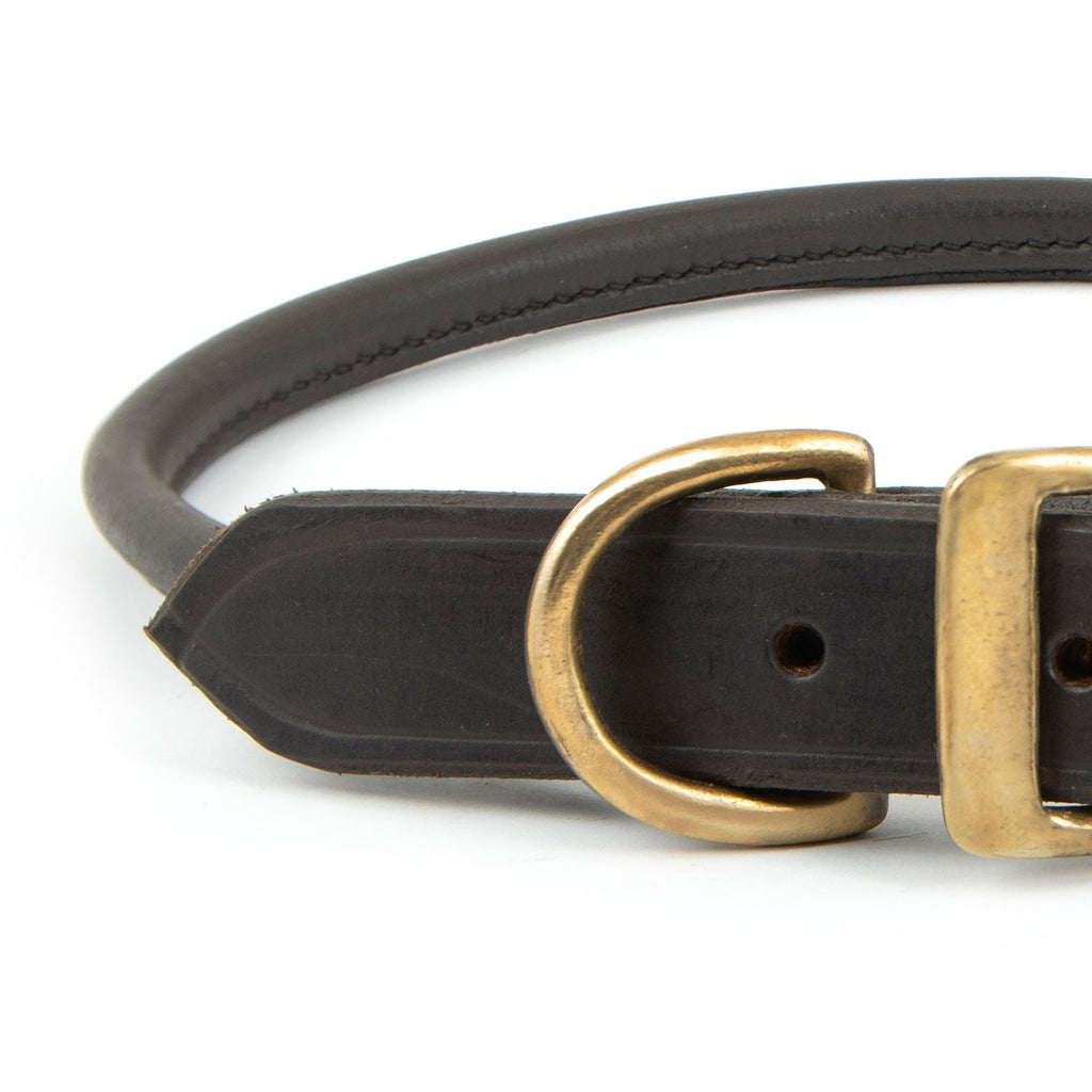 Rolled Leather Dog Collars with Brass Hardware