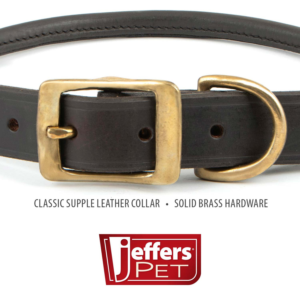 Rolled Leather Dog Collars with Brass Hardware