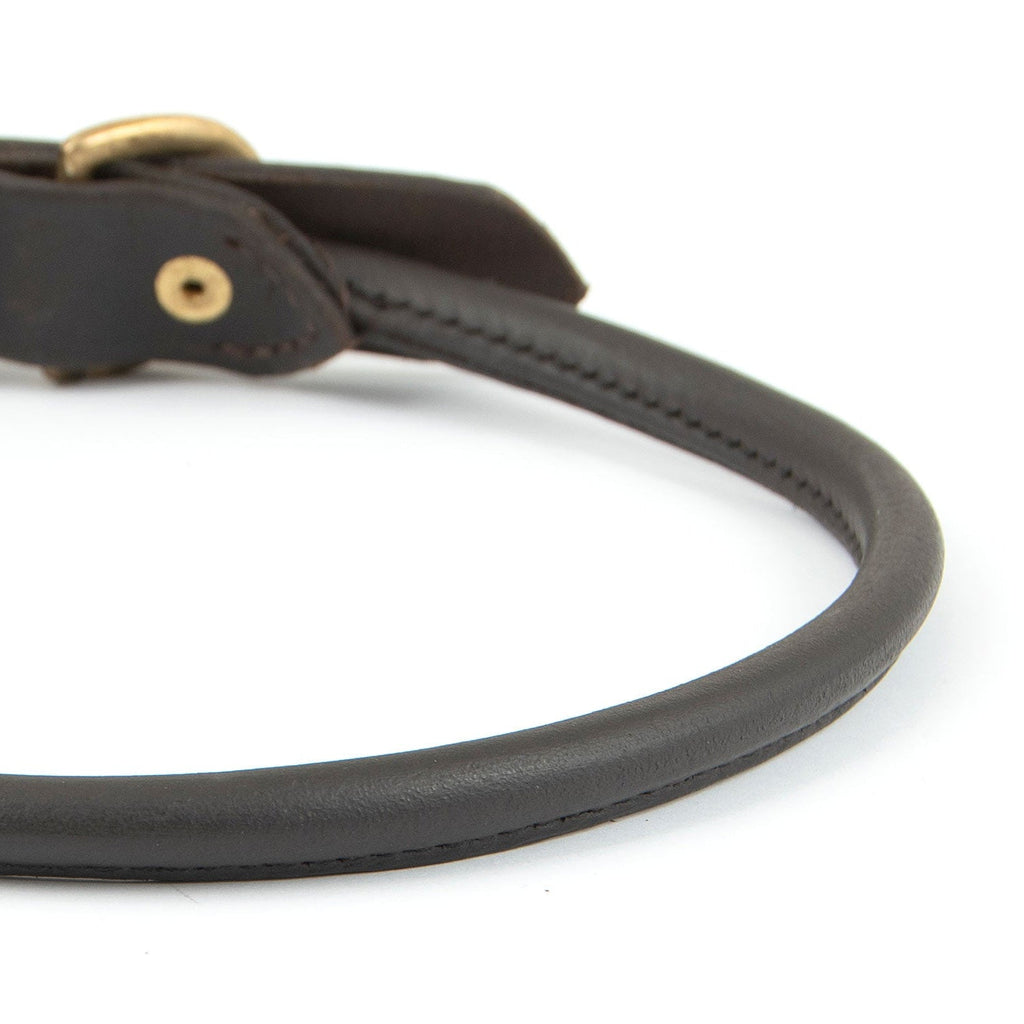 Rolled Leather Dog Collars with Brass Hardware