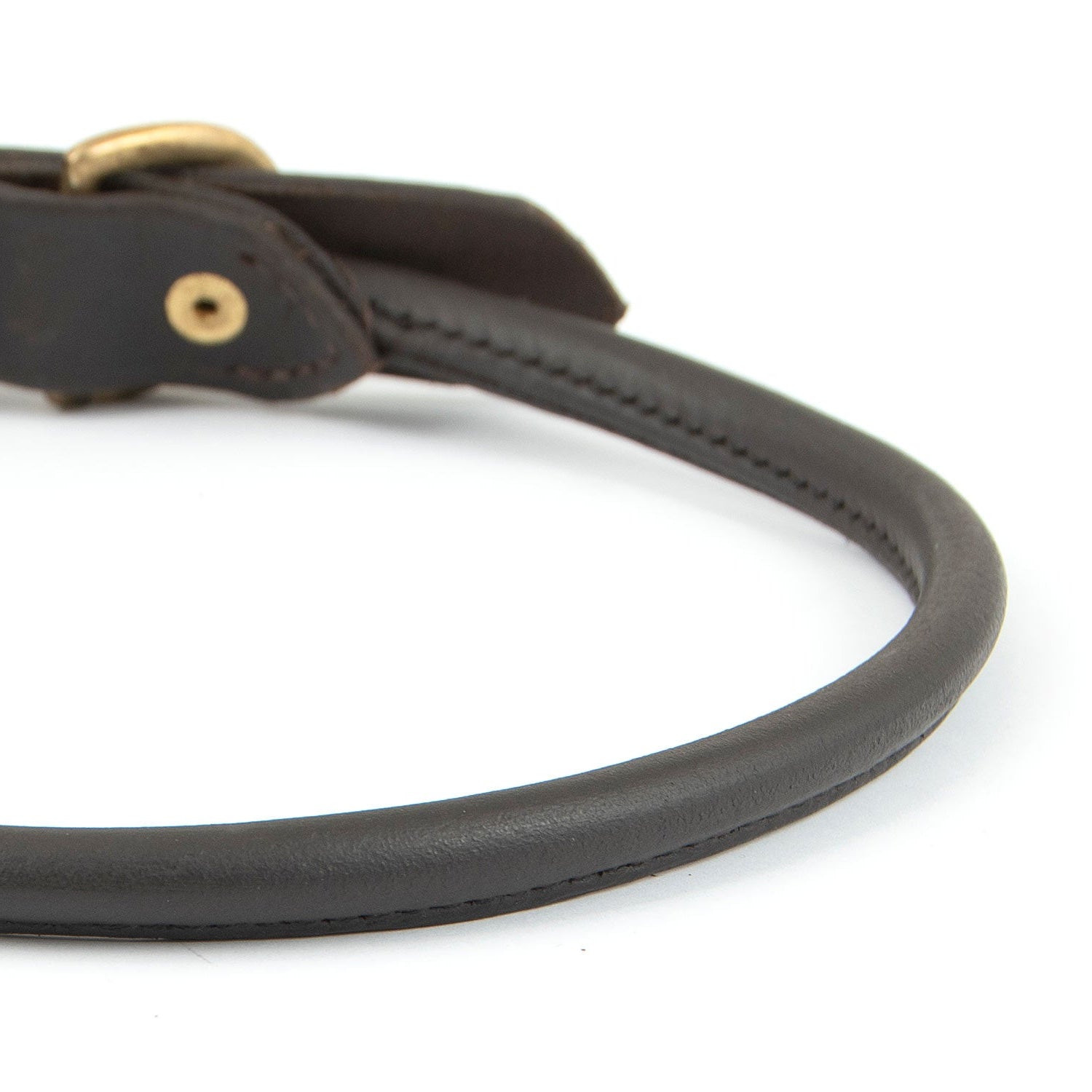 Rolled Leather Dog Collars with Brass Hardware