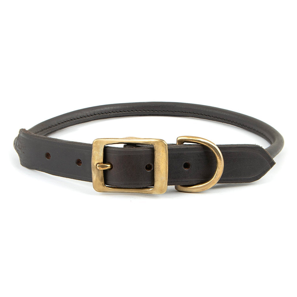 Rolled Leather Dog Collars with Brass Hardware