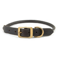Rolled Leather Dog Collars with Brass Hardware