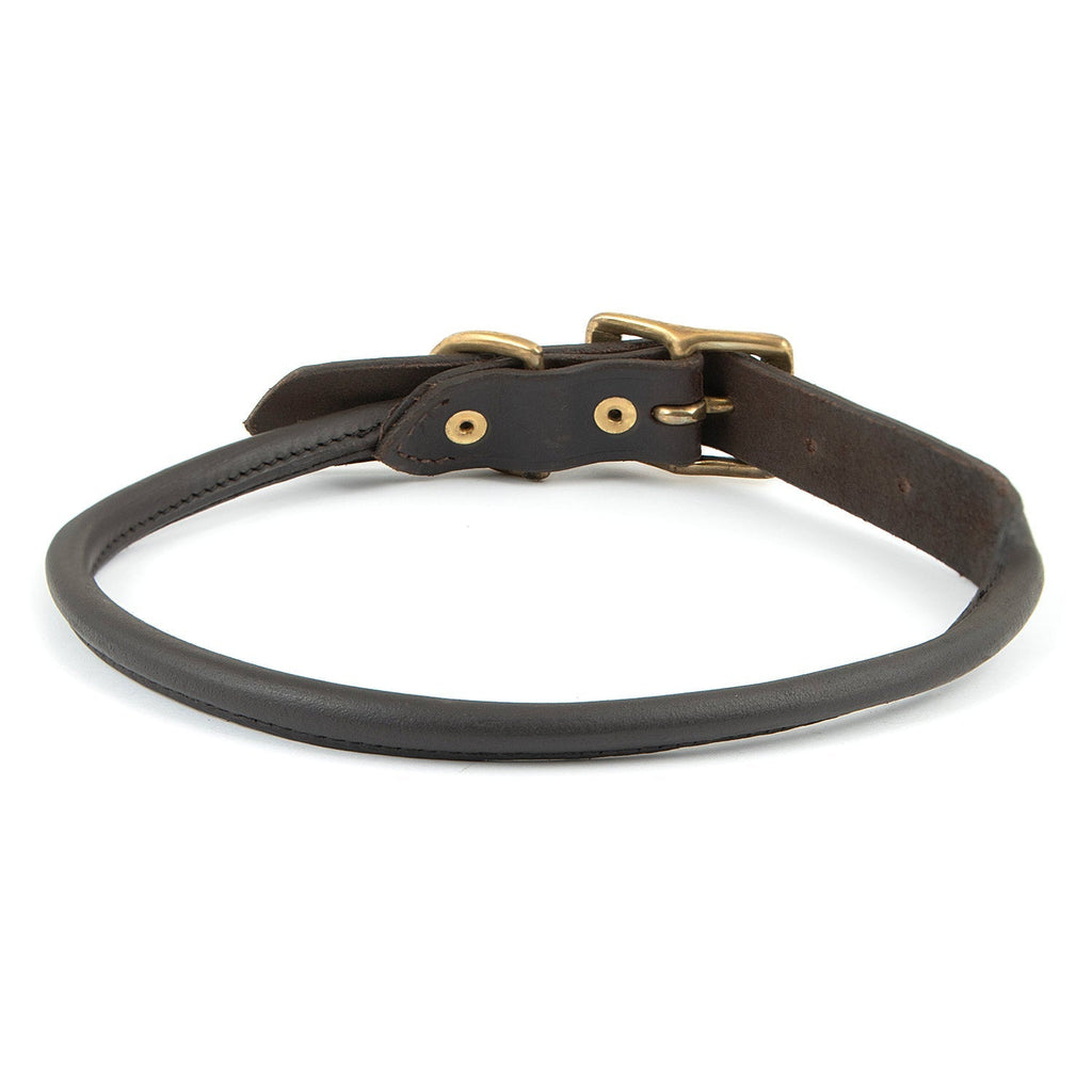 Rolled Leather Dog Collars with Brass Hardware