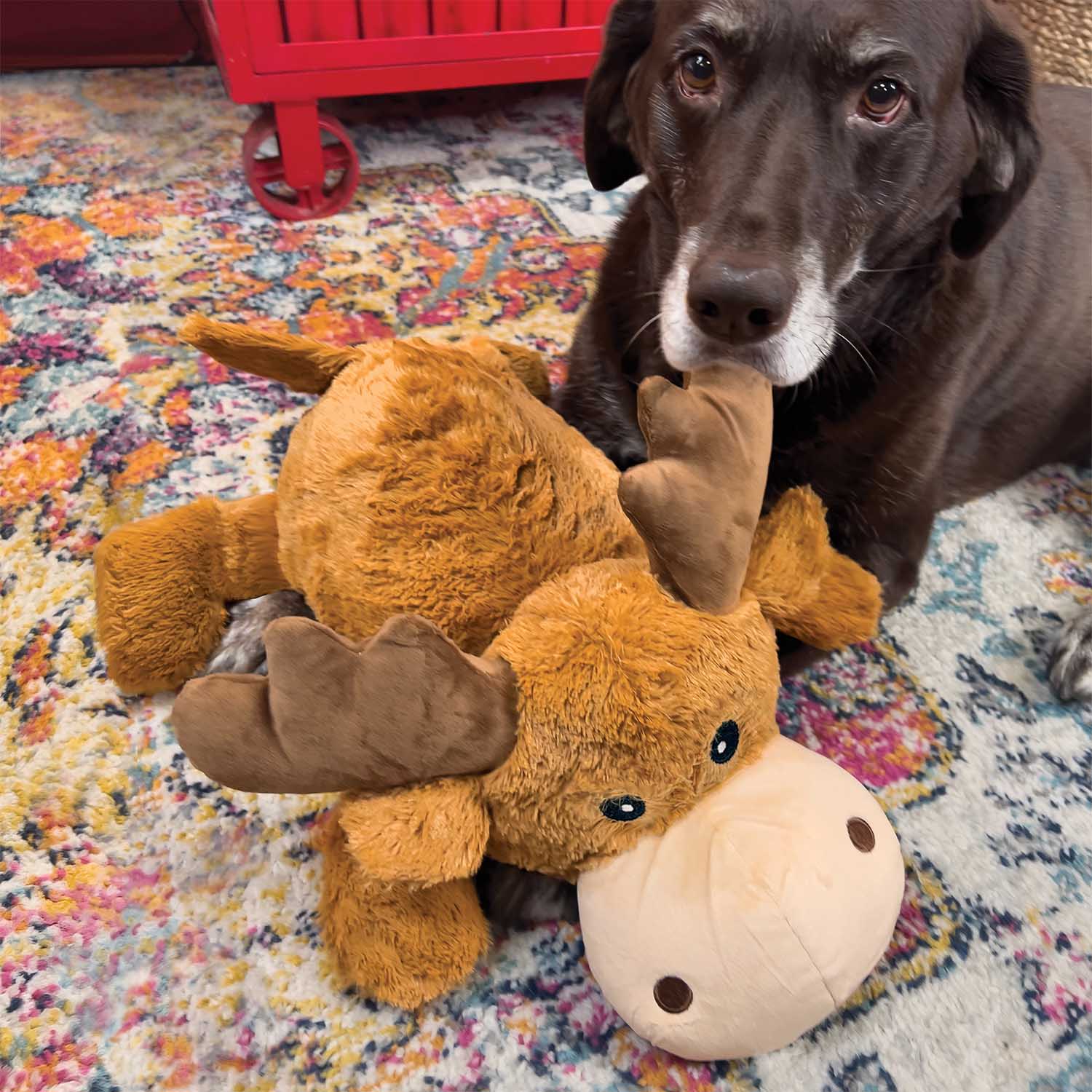Kong Cozie Jumbo Marvin Dog Toy, XLarge
