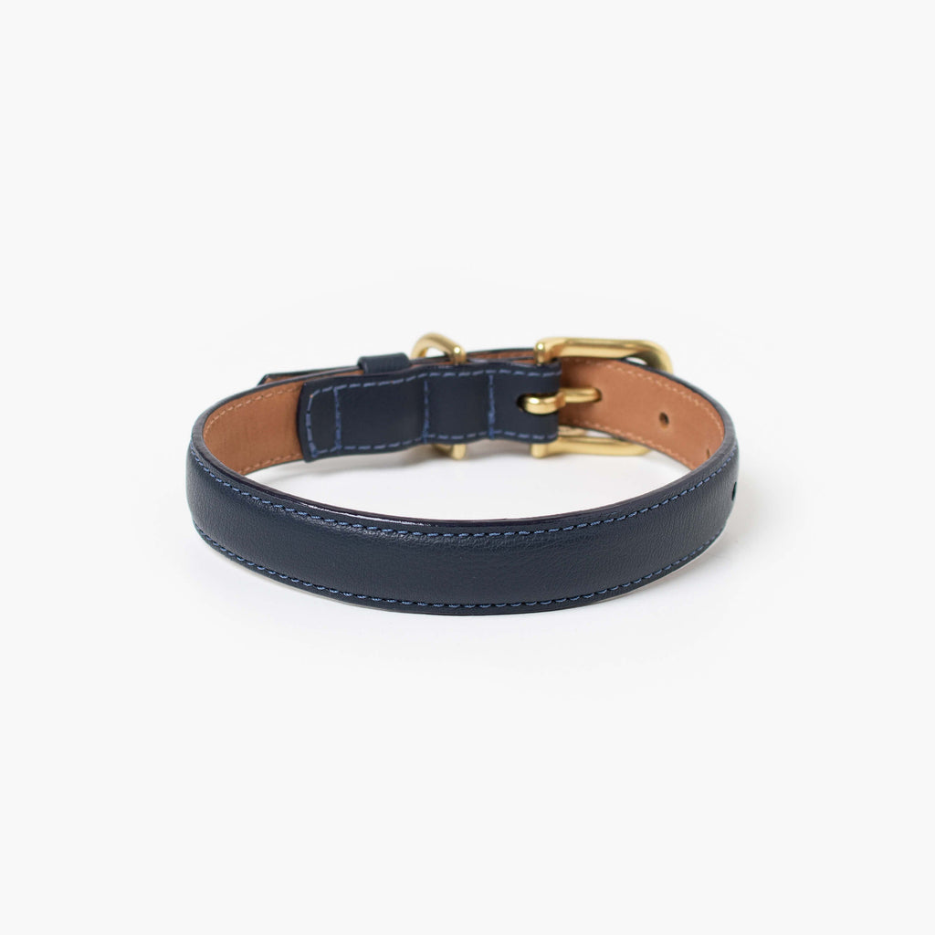 Midnight Collar